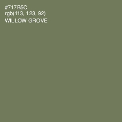 #717B5C - Willow Grove Color Image